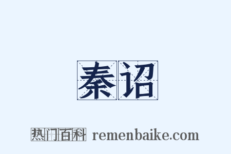 秦诏是什么意思的图片